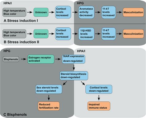 Adverse Outcome Pathway Aop Segments Crossing The Download