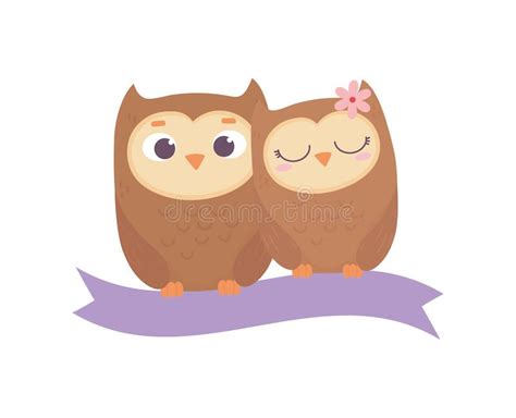 Happy Valentines Day Cute Couple Owl On Ribbon Cartoon Stock Vector