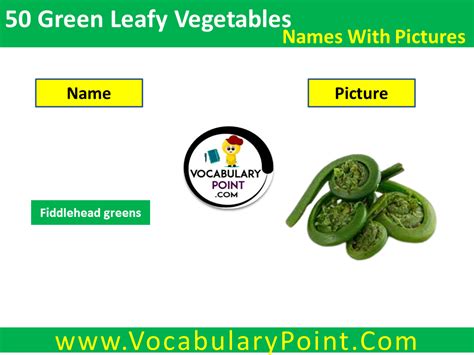 50 Green Leafy Vegetables Names In English With Pictures Vocabulary