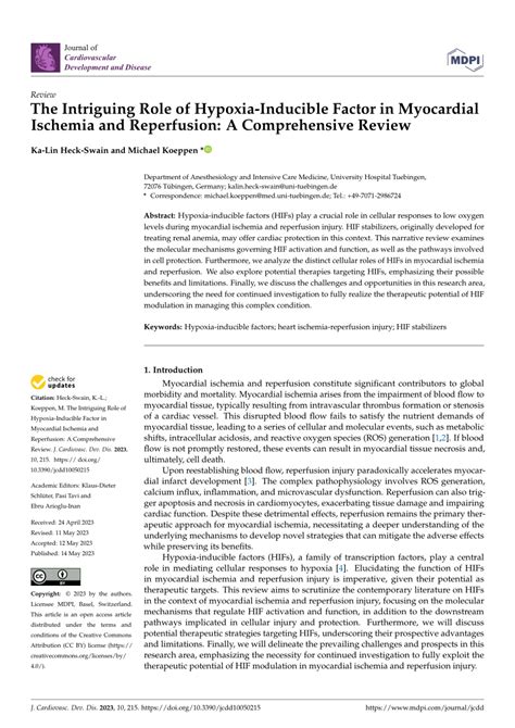 Pdf The Intriguing Role Of Hypoxia Inducible Factor In Myocardial