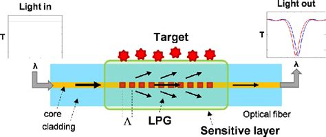 Schematic Representation Of Fiber Optic Chemical Sensor Composed By An