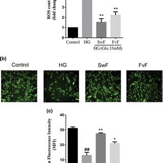 Effect Of SwF And FvF On Intracellular ROS Generation And Mitochondrial