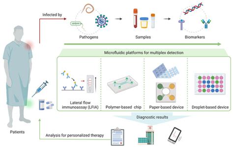 Biosensors Free Full Text Multiplex Detection Of Infectious