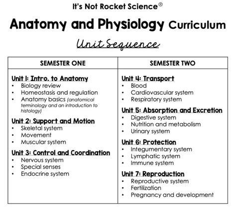 What Is The Anatomy And Physiology Anatomy