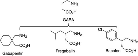 Scheme 1 Synthetic route to the drug S α methyldopa Download