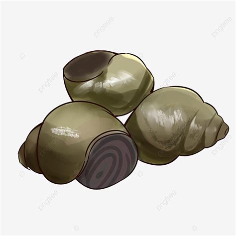 Coquille D escargot Png vecteurs PSD et icônes pour téléchargement