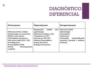 Síndrome Mielodisplásico PPT