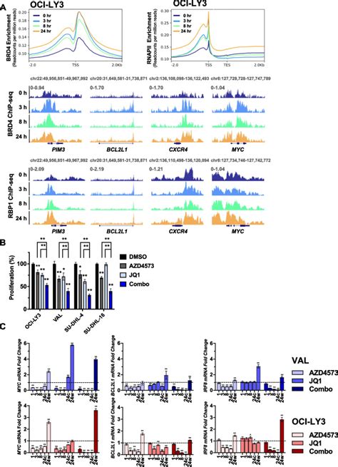 cdk inhibition induces epigenetic reprogramming revealing strategies