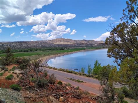 Hiking The Petrified Forest And Sleeping Rainbow Trails At Escalante