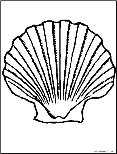 30 Clam Coloring Pages