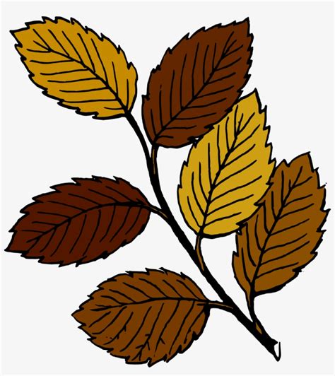 Leaves Clipart Brown Leaf Pencil And In Color Leaves Dead Leaves Clip Art 930x1000 Png