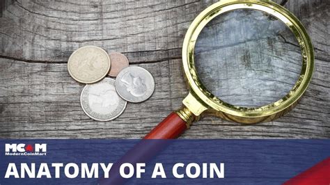 Anatomy Of A Coin Moderncoinmart