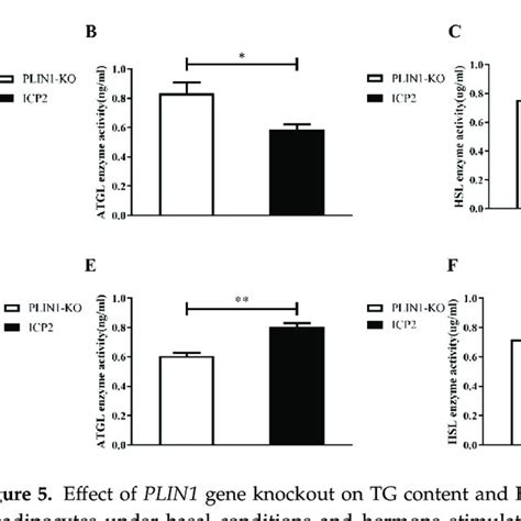 Knockout Of Plin1 Inhibited The Differentiation Of Chicken