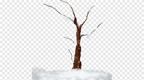 Tree Winter Encapsulated PostScript Tree Winter Branch Png PNGEgg