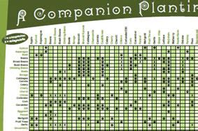 Grow Your Own Lh Types Local Harvest