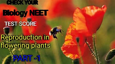 Neet For Teen Biology Class 12 Chapter 2 Sexual Reproduction In Flowering Plants Neet Mcqs Part