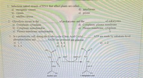 Solved 1 Infectious Naked Strands Of RNA That Affect Plants Chegg