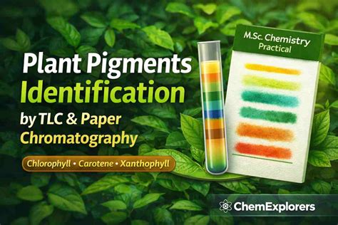 thin layer chromatography
