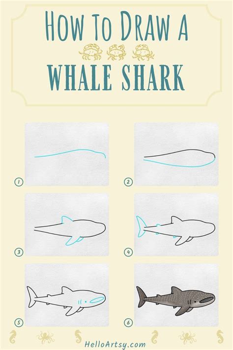 whale shark drawing easy - Samara Olds