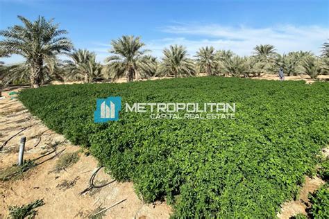 Land Agricultural For 1600000 AED In Al Salamat Al Salamat Abu Dhabi