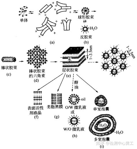 表面活性剂的自组装 知乎