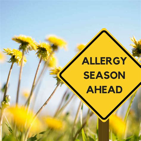 Spring 2024 Allergy Season - Jobey Lyndsie