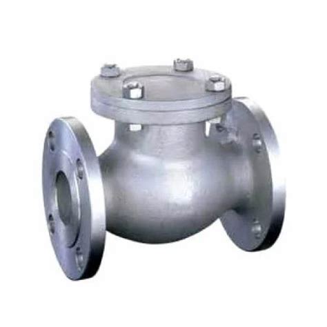 Nalisha Swing Check Valve Packaging Type Box Model Name Number Neil