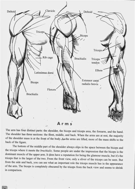 Scans From Klaus Janson Dc Comics Guide To Pencilling Great Anatomy