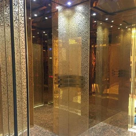 Automatic Glass Door Passenger Lift Without Machine Room Maximum