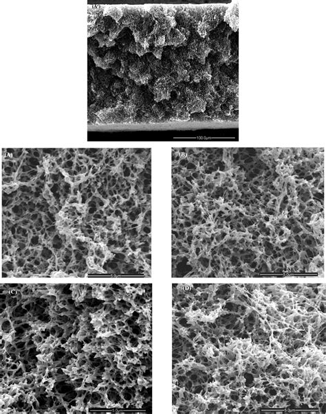 Novel Functionalization Of Porous Polypropylene Microfiltration