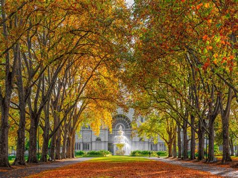 The Most Beautiful Places To See Autumn Leaves In Melbourne Ask Melbourne