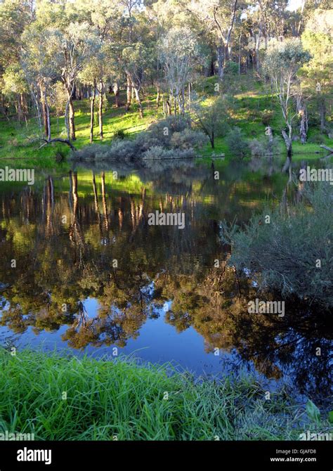 High Winter Water Levels In The Blackwood River At Bridgetown Southern