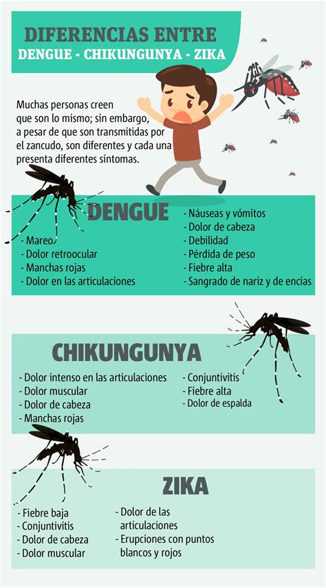 5 Datos Importantes Que Debes Conocer Acerca Del Zika Publinews