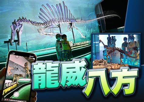 尋龍記展覽迎逾50萬觀眾 日均6000人入場參觀｜即時新聞｜港澳｜oncc東網