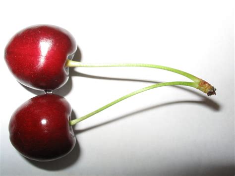 cherries  photo  freeimages