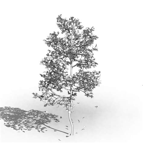 arquitreepack01 - 9 trees detailed & scalable - arquitree