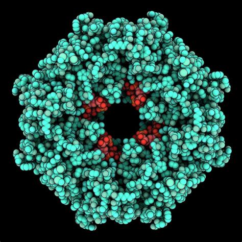 Ebola Virus Matrix Protein Vp Photograph By Laguna Design Science