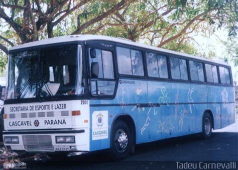 Prefeitura Municipal De Cascavel Secretaria De Esporte E Lazer Em