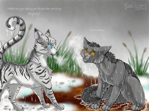 Silverstream Warrior Cats