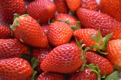 Frischem Obst Und Gemüse Adam Fruits Zuverlässiger Und Schneller