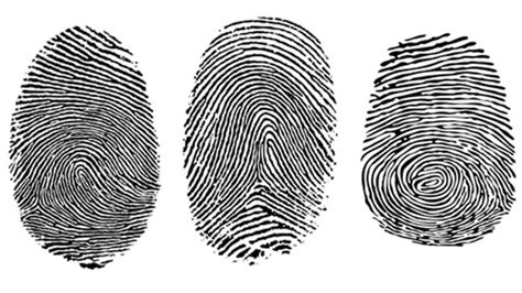 Types Of Fingerprints In Forensic Science