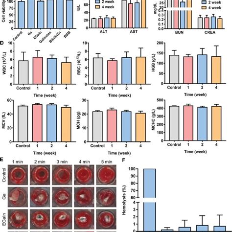 Biocompatibility Evaluation Of Bbm In Vitro And In Vivo A Cell