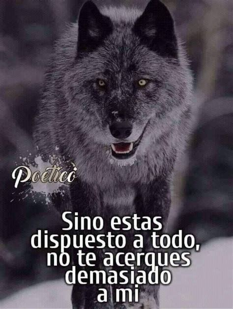 Pin De Giss Angulo En Lobos Del Alma En 2020 Frases De Lobos Frases