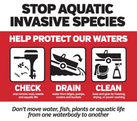 Understanding And Addressing Invasive Species Princeton Hydro