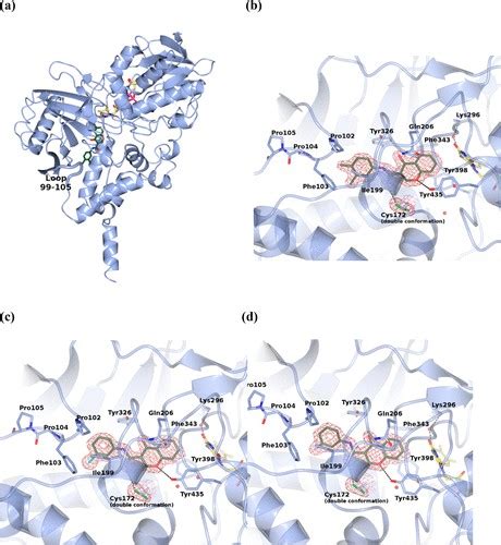 Structural Research Of Oxidases Creative Biostructure