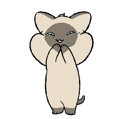 Cat Cute Sticker - Cat Cute Kitty - Discover & Share GIFs