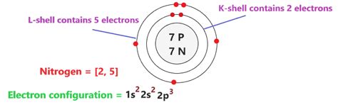 Nitrogen Bohr Model How To Draw Bohr Diagram For Nitrogenn Atom