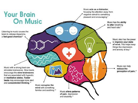 Neuroestetica Della Musica