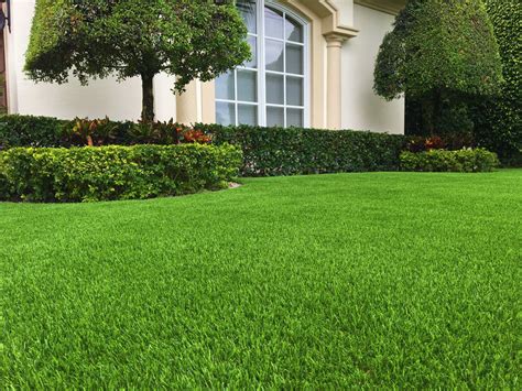 Galleries Diamond Artificial Grass Diamond Artificial Grass