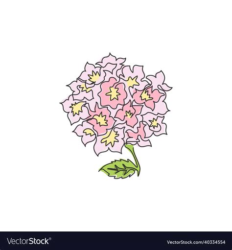 Single One Line Drawing Beauty Fresh Lantana Vector Image